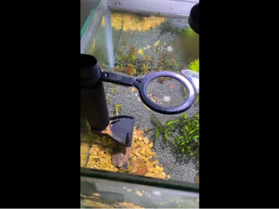 Aquarium Fish Tank Feeding Tube With Floating Ring