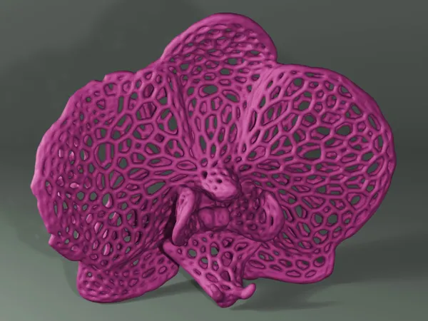 Orchidée façon Voronoi