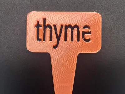 plant name stake-thyme