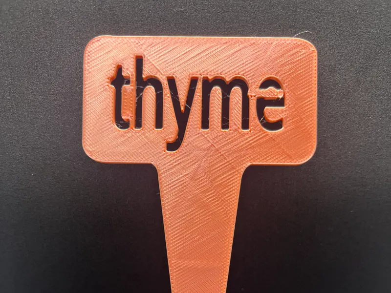plant name stake-thyme