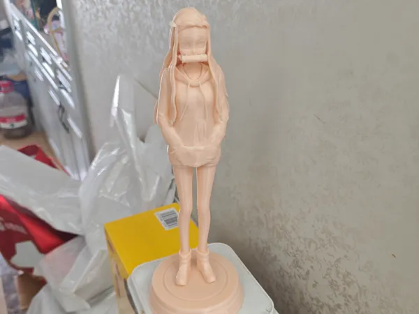 https://makerworld.bblmw.com/makerworld/model/DSM00000001601753/design/2025-07-13_c88782e2b071b.jpg