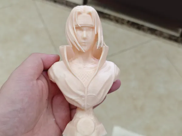 https://makerworld.bblmw.com/makerworld/model/DSM00000001601800/design/2025-07-13_b0cedcbe701fb.jpg