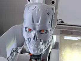 t-800