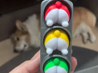 柯基屁股红绿灯