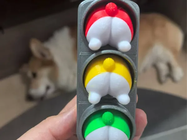 https://makerworld.bblmw.com/makerworld/model/DSM00000001602564/design/2025-07-13_df69e34904fb28.jpg