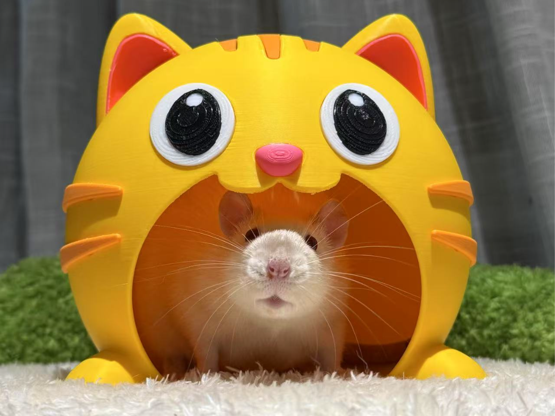 猫的鼠鼠窝