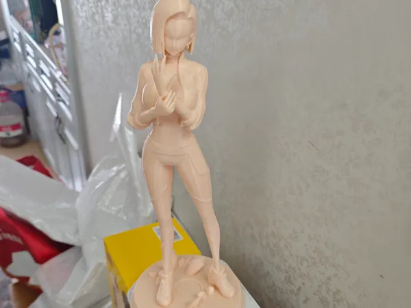 https://makerworld.bblmw.com/makerworld/model/DSM00000001602609/design/2025-07-13_cd30208f207ef.jpg