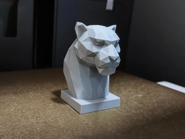 https://makerworld.bblmw.com/makerworld/model/DSM00000001603154/design/2025-07-13_b0647781dbc8c.png