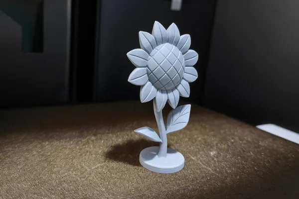 https://makerworld.bblmw.com/makerworld/model/DSM00000001603300/design/2025-07-11_h1fq277twvqd.png
