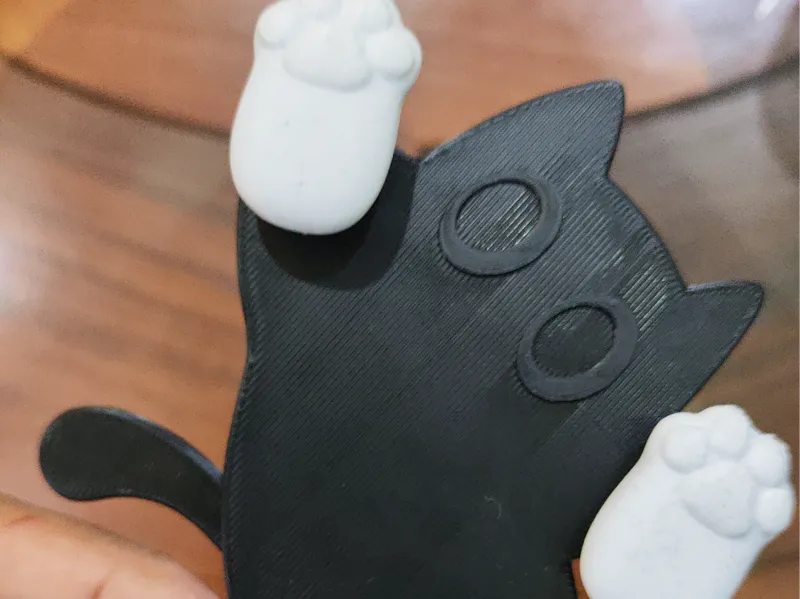 猫猫转爪爪