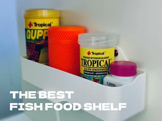 The Best Fish Food Shelf - Aquarium