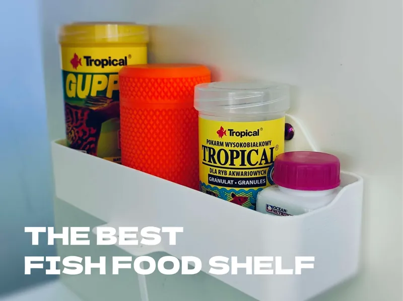 The Best Fish Food Shelf - Aquarium