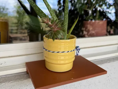 Window plant shelf