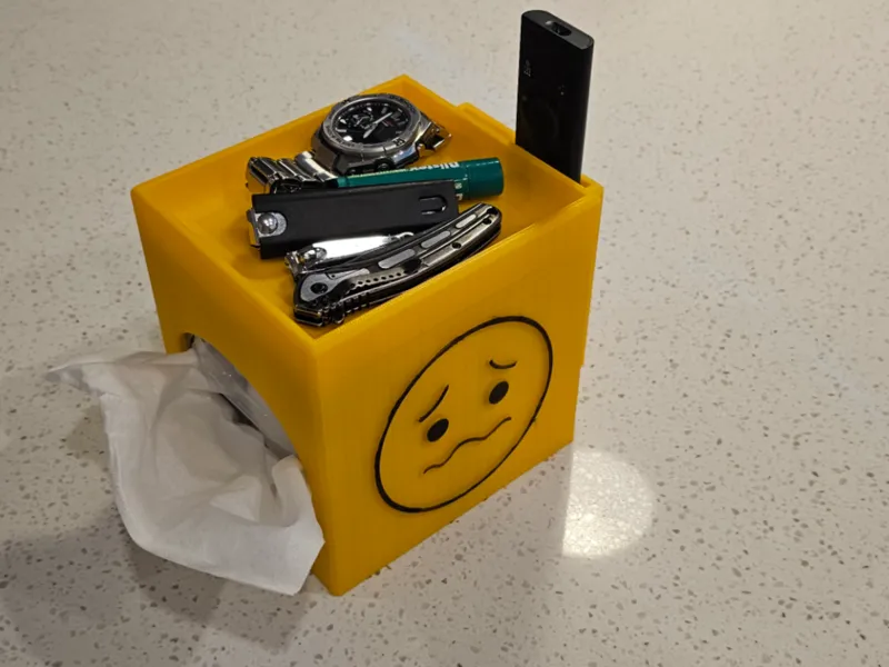 Catch all Tissue Box