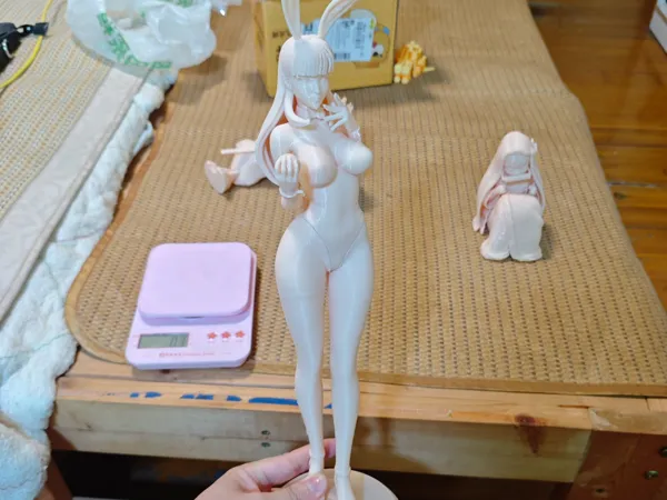 https://makerworld.bblmw.com/makerworld/model/DSM00000001606950/design/2025-07-14_6dbb4092e45da.jpg