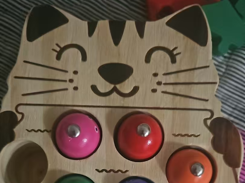 Kitten Fishing Children's Toy