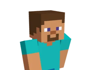 Steve