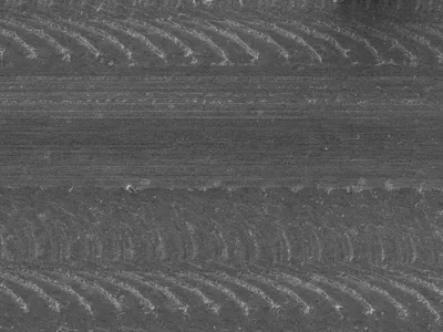 v-weis-v01
