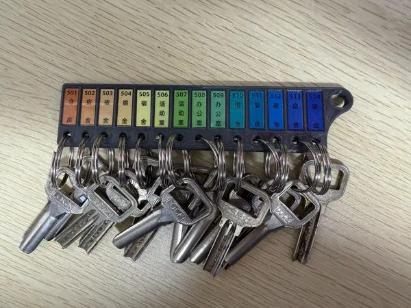 https://makerworld.bblmw.com/makerworld/model/DSM00000001607848/design/2025-07-15_6d44a4ed46fcf8.jpg