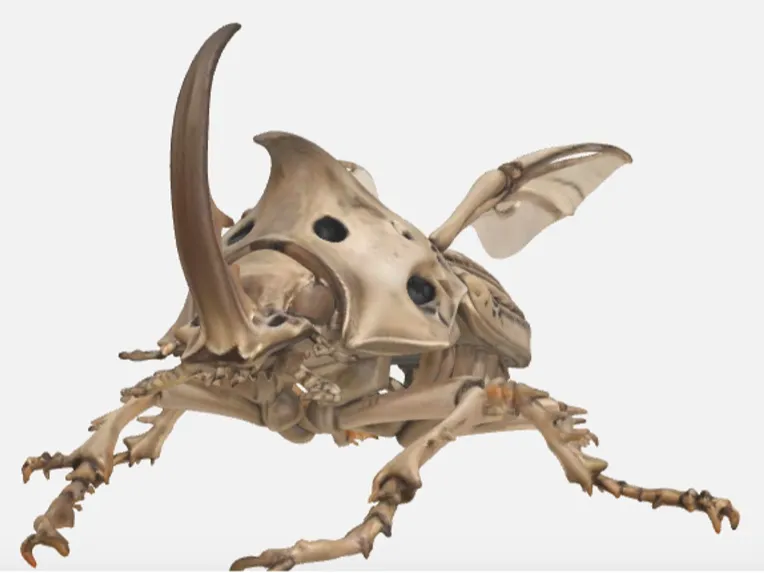 本物のカブトムシ目指した2作目  足は繊細なので、折れないように救出が必要だ  検討を祈ります！