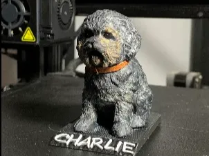 Shih tzu