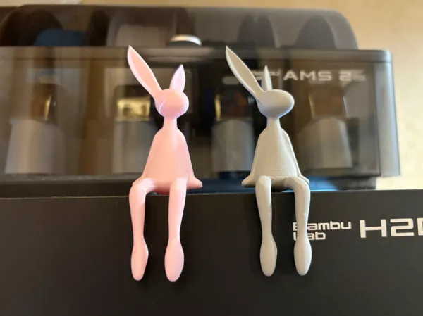 https://makerworld.bblmw.com/makerworld/model/DSM00000001611435/design/2025-07-16_215f3659f8bd5.jpg