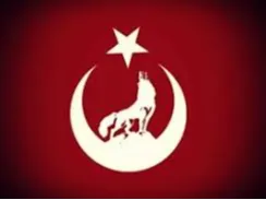 ülkücü