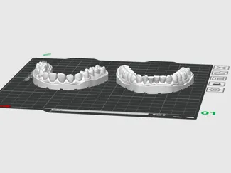 Human Teeth Model
