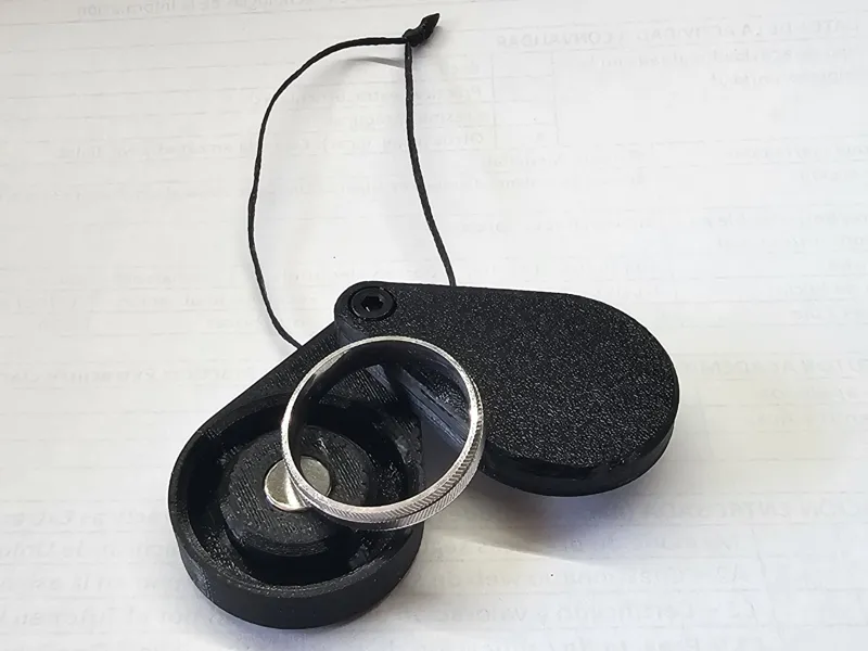 Fully customizable Ring case/carrier