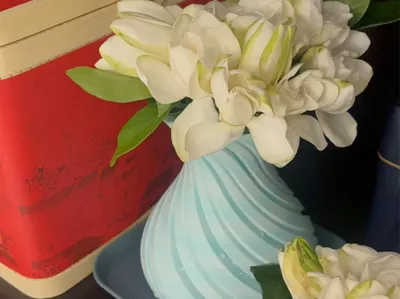 Subtle Elegance Vase