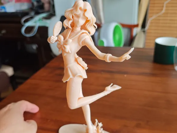 https://makerworld.bblmw.com/makerworld/model/DSM00000001619141/design/2025-07-19_928bf4b0733828.jpg