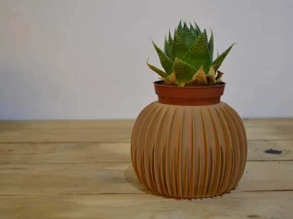https://makerworld.bblmw.com/makerworld/model/DSM00000001621654/design/2025-07-20_2420cfe06e5878.jpg