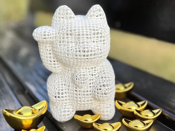 https://makerworld.bblmw.com/makerworld/model/DSM00000001622341/design/2025-07-20_e75bec60a0c14.png
