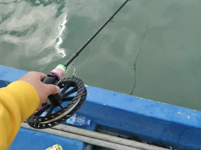 Hand Crank Fishing Reel