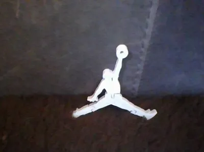flexi jordan logo