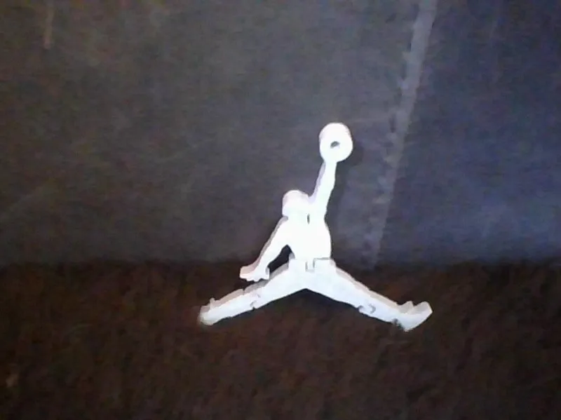flexi jordan logo