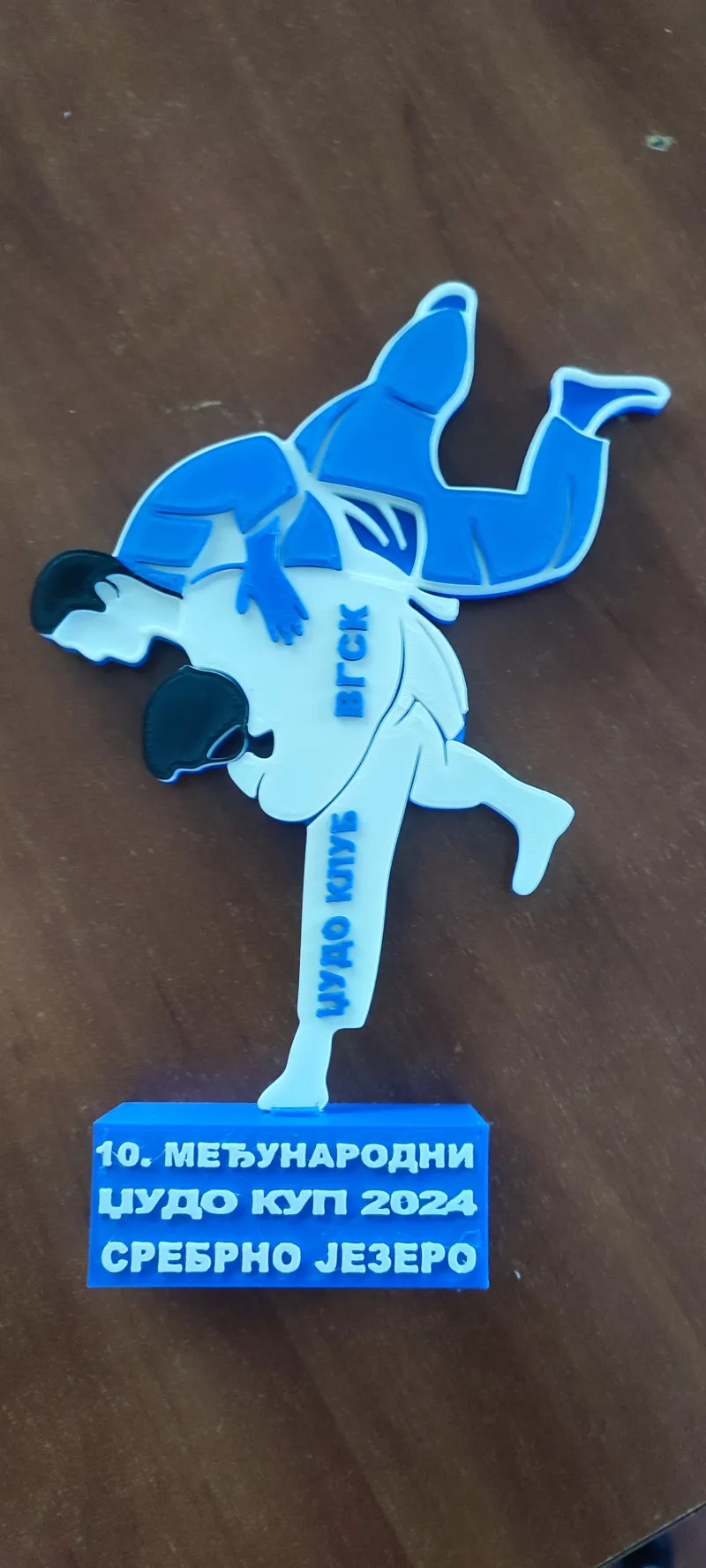 Judo award