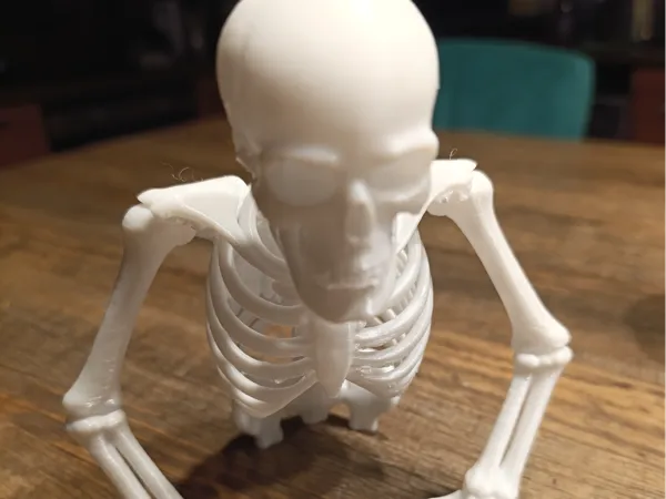 https://makerworld.bblmw.com/makerworld/model/DSM00000001623467/design/2025-07-20_177113d97880d8.jpg