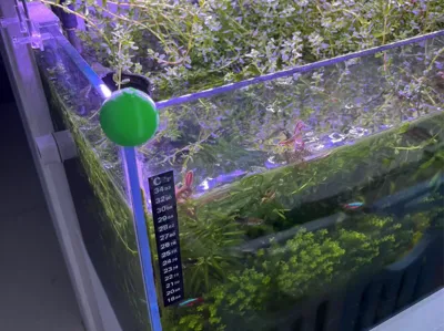 Fish tank corner protectors against collision and bumping