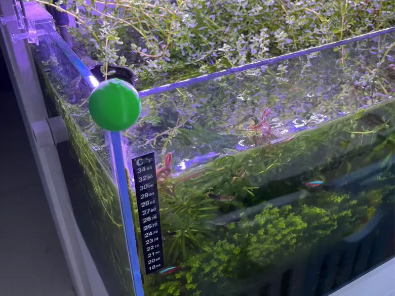 鱼缸防撞防磕碰