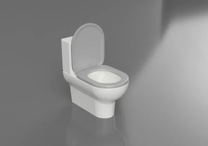 Regular Boring Toilet