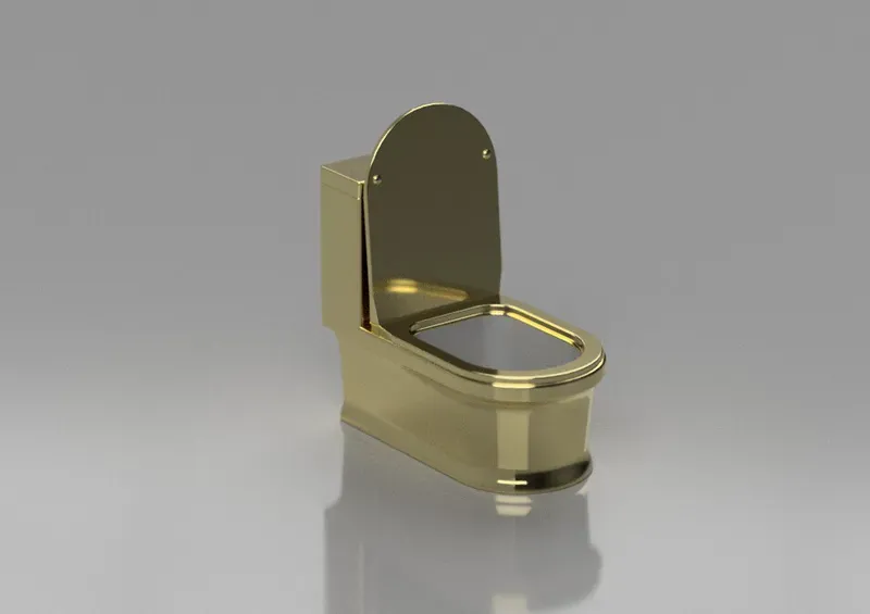 Luxury Toilet