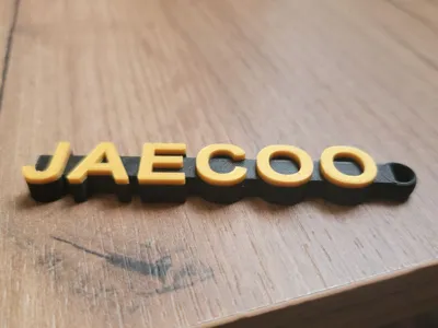 Logo Keychain JAECOO