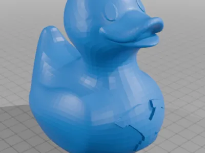 BYU Duck