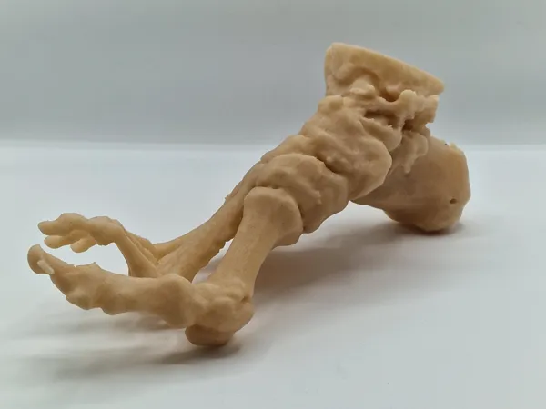 https://makerworld.bblmw.com/makerworld/model/DSM00000001630169/design/2025-07-22_cc1f9013864458.jpg