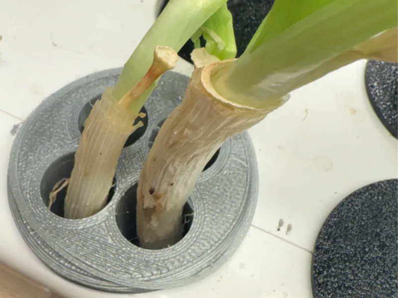Green onion holder for 1.5" hole (hydroponic)
