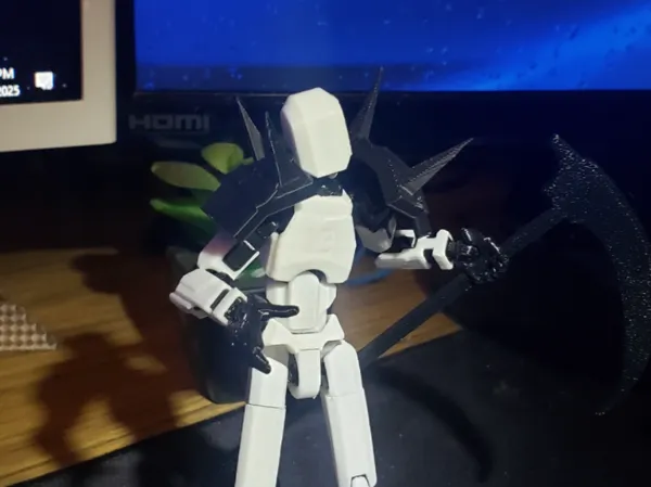 https://makerworld.bblmw.com/makerworld/model/DSM00000001630589/design/2025-07-22_4db2d553bfe77.jpg
