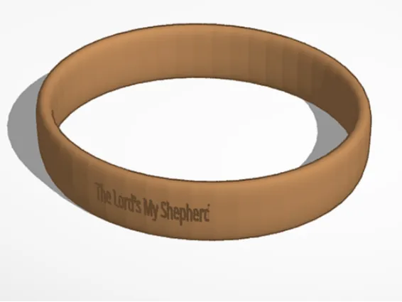 https://makerworld.bblmw.com/makerworld/model/DSM00000001630627/design/2025-07-22_6cdf24ab61f538.jpeg