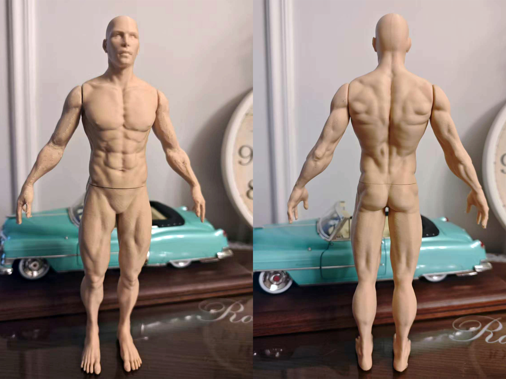 雕刻素描绘画参考用人体肌肉结构模型 男人素体肌肉模型 艺用肌肉学习记忆 总高26CM
