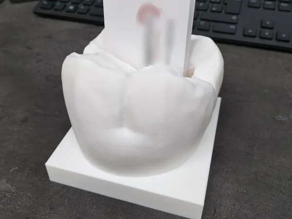 https://makerworld.bblmw.com/makerworld/model/DSM00000001631781/design/2025-07-31_3bf5101881aa28.jpg